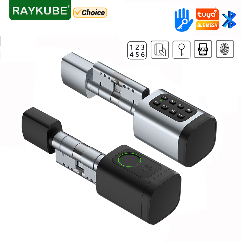 RAYKUBE V1 Tuya BLE TT Lock Sm - Diy Waterproof Electronics review and price