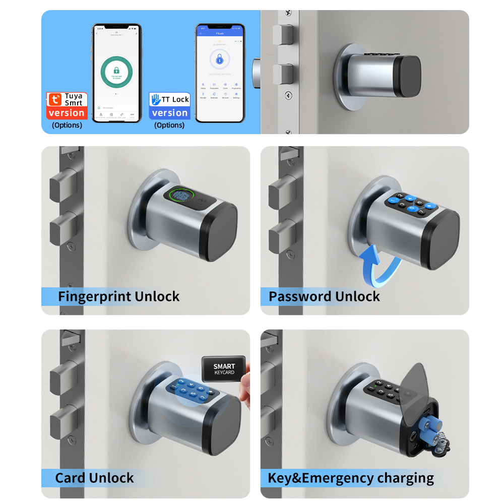 RAYKUBE V1 Tuya BLE TT Lock Sm - Diy Waterproof Electronics review and price