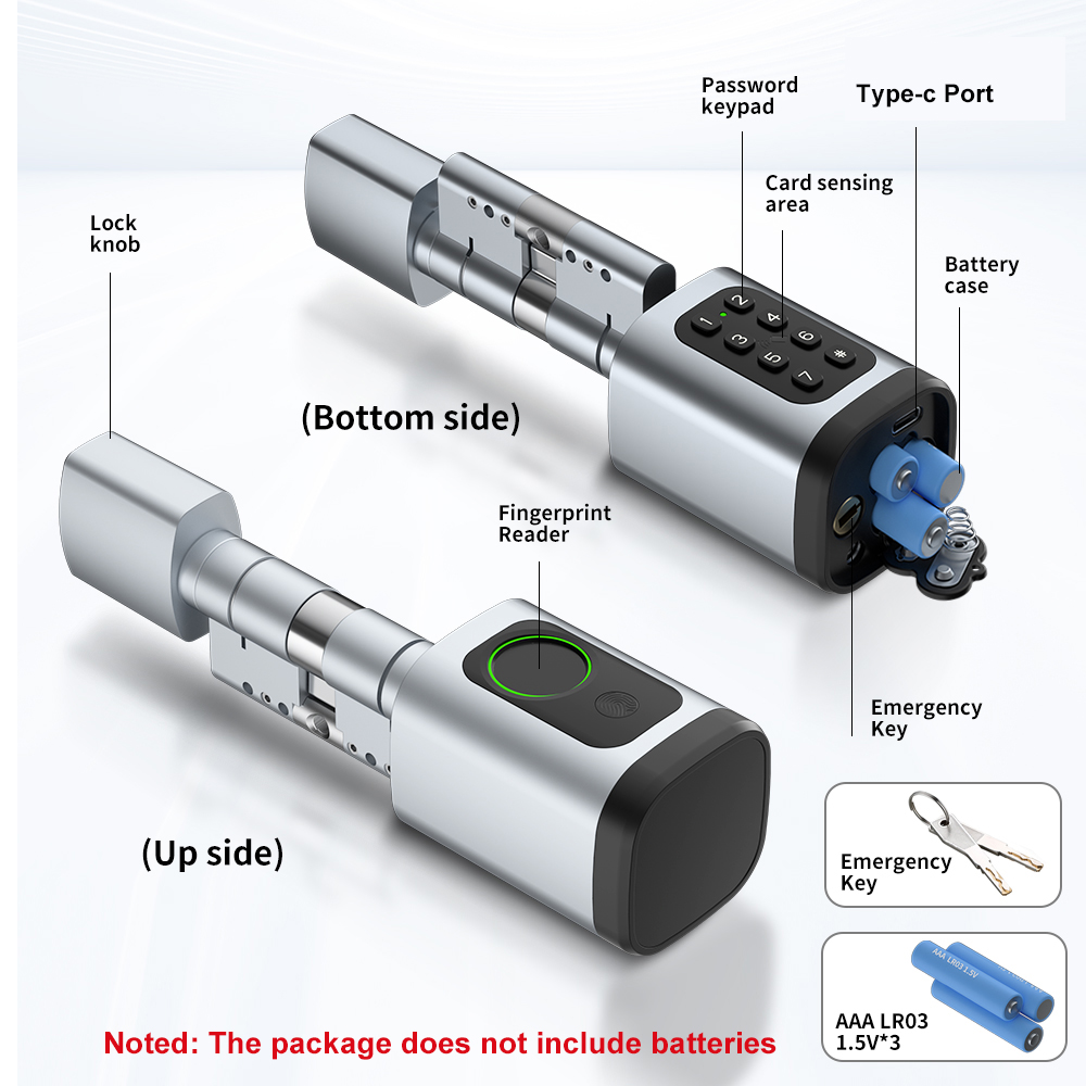 RAYKUBE V1 Tuya BLE TT Lock Sm - Diy Waterproof Electronics review and price